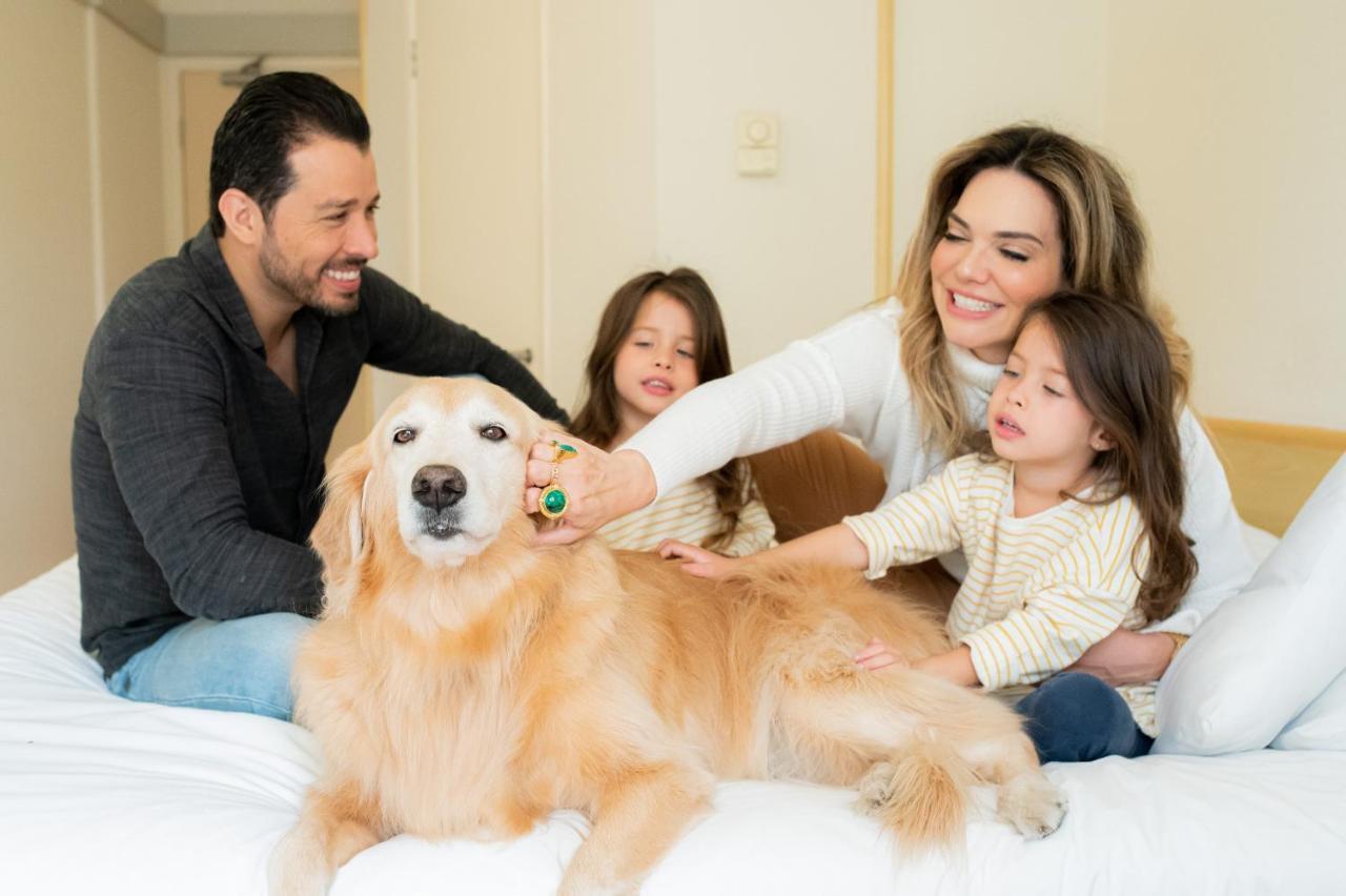 Ibis Taubate 호텔 외부 사진
